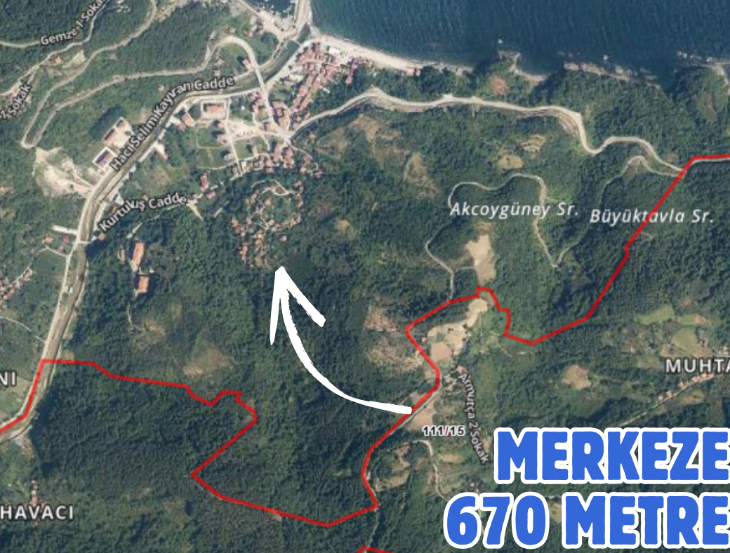 KASTAMONU DOĞANYURT HOCA 101 M² TARLAMIZ SATILIKTIR - KASTAMONU DOĞANYURT fotoğraf 2